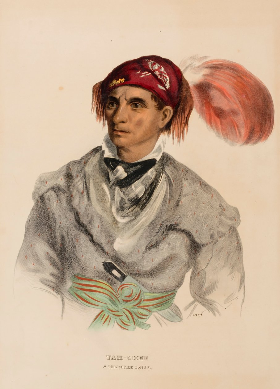 Tah-Chee (holländsk), En Cherokee-hövding, från Historia om indianstammarna i Nordamerika av Charles Bird King