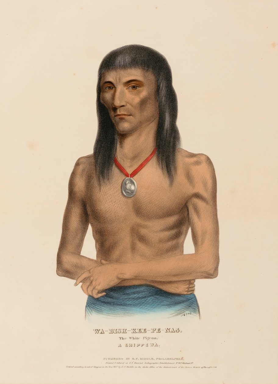 WA-BISH-KEE-PE-NAS. Den vita duvan. EN CHIPPEWA, från Historien om Nordamerikas indianstammar av Charles Bird King