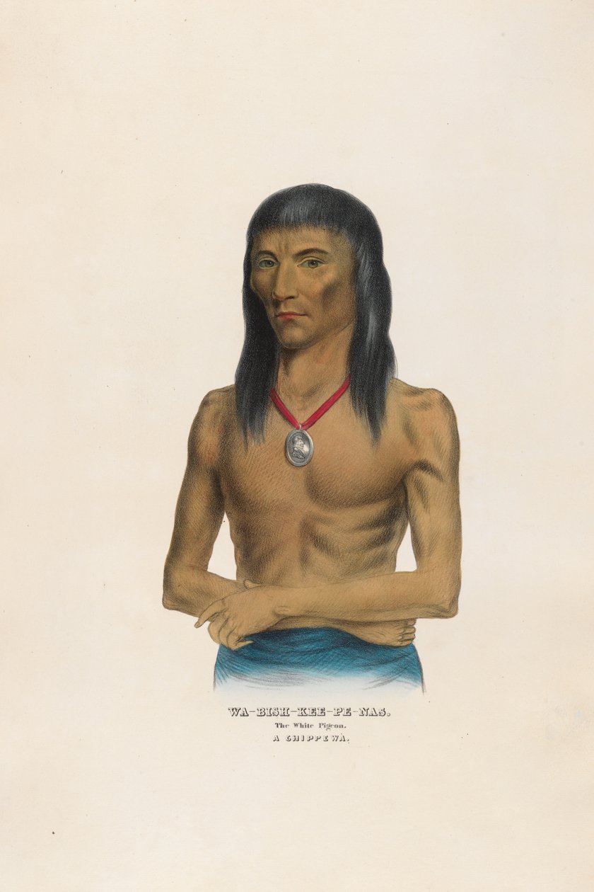 Wa-bish-kee-pe-nas - Den vita duvan av Charles Bird King