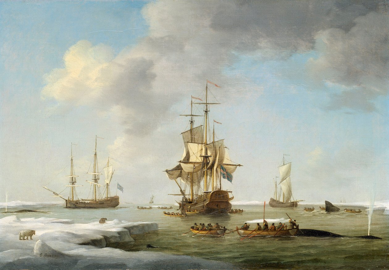 Fiske på Grönland: Engelska valfångare i isen, ca 1750 (olja på duk) av Charles Brooking