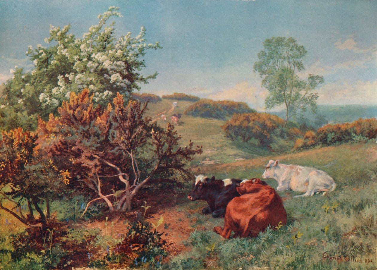 Landskap med boskap i Nower, Dorking, c1899 av Charles Collins