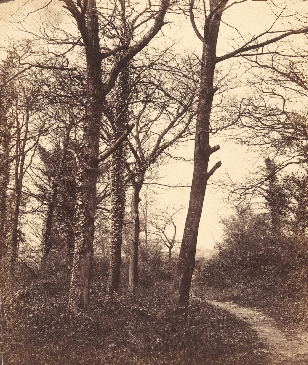 Vinter, 1855. av Charles Conway