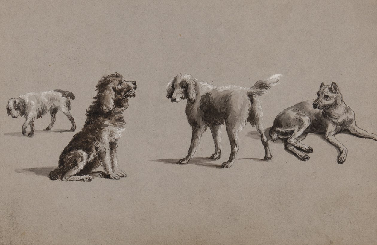 Studier av hundar (penna, pensel, bläck och gouache på papper) av Charles Cooper Henderson