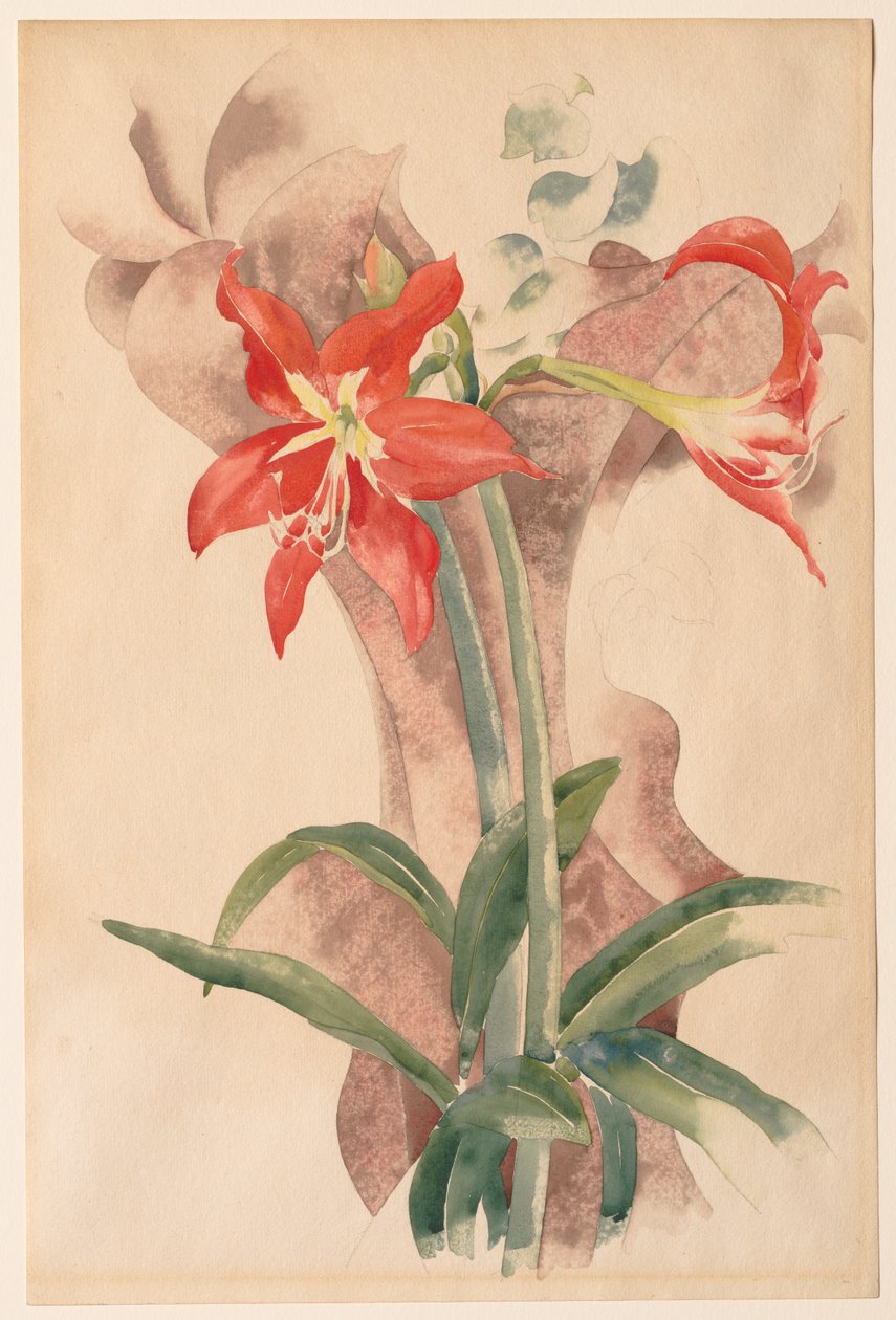 Amaryllis av Charles Demuth