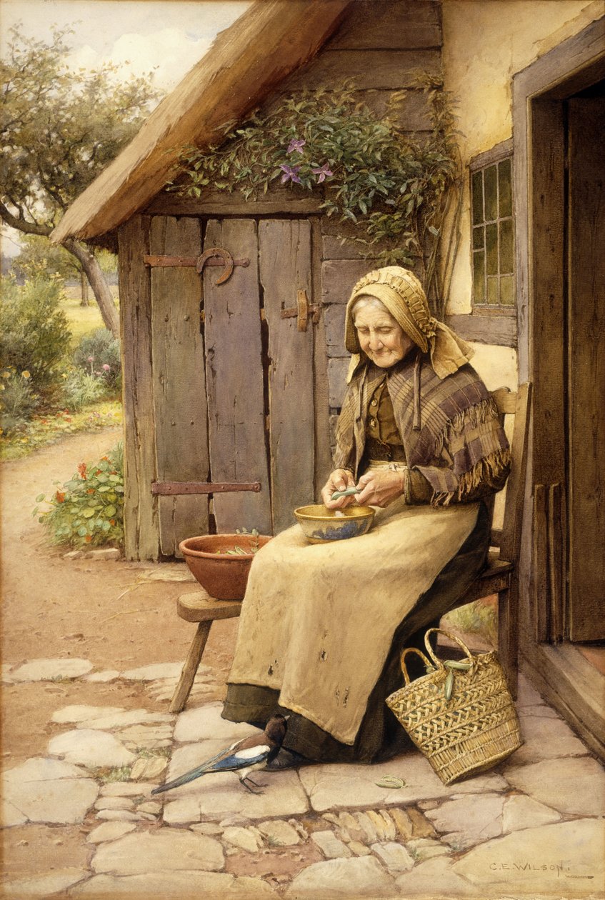 En finfjädrad vän (w/c på papper) av Charles Edward Wilson