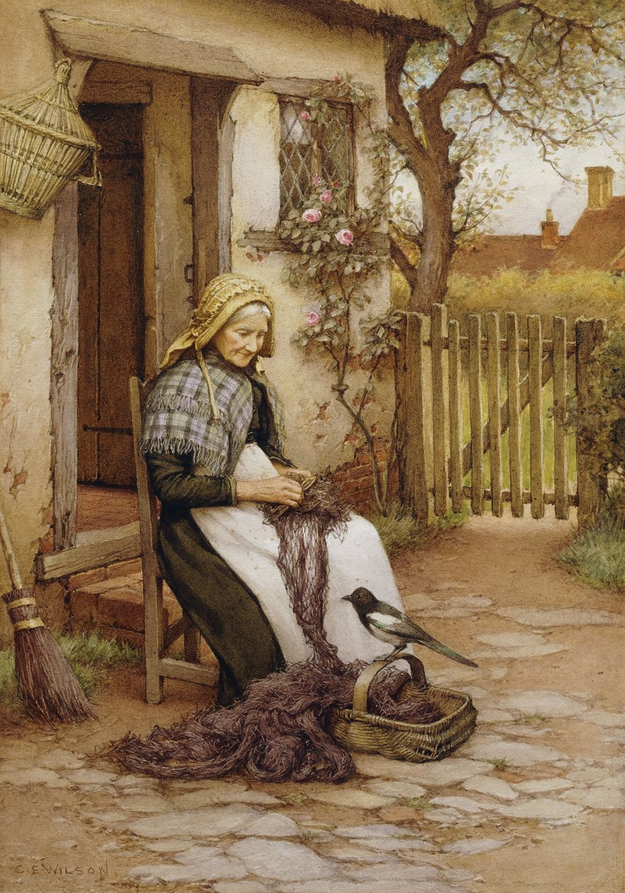 Ett avbrott av Charles Edward Wilson