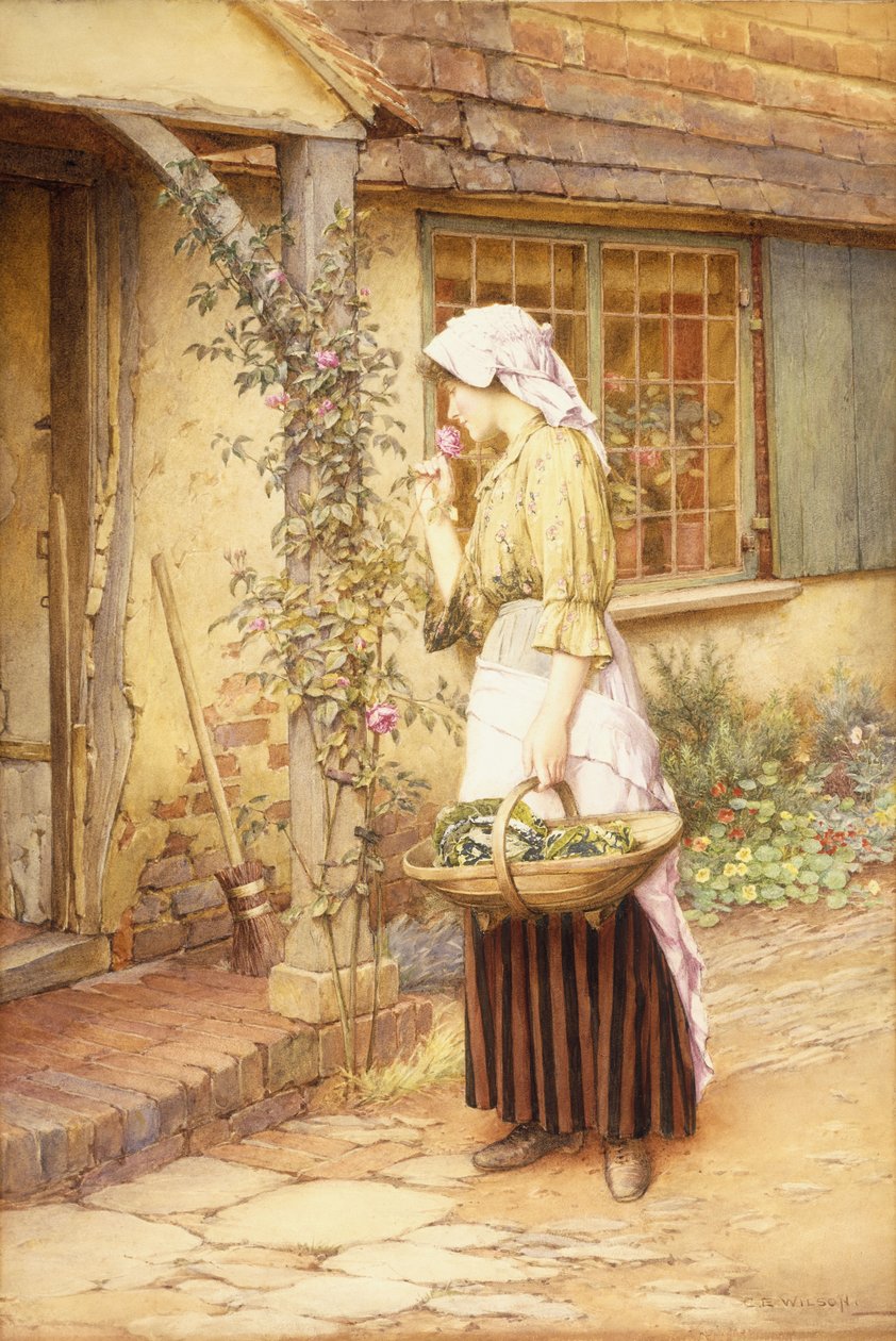 The Sweetest Rose (w/c på papper) av Charles Edward Wilson