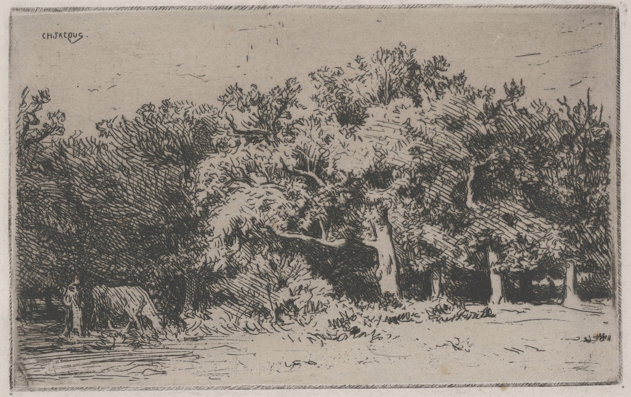 Ett hörn av skogen Fontainebleau (etsning) av Charles Emile Jacque