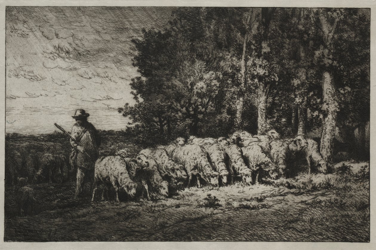 En flock i kanten av en skog av Charles Emile Jacque