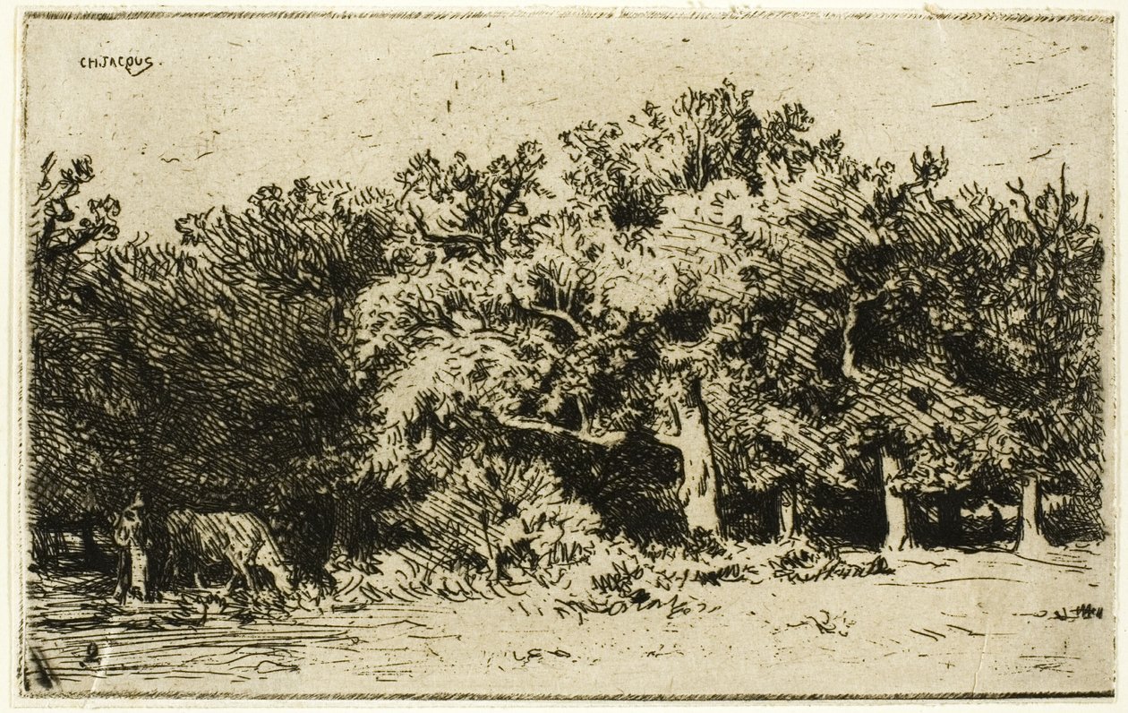 En del av skogen Fontainebleau av Charles Emile Jacque