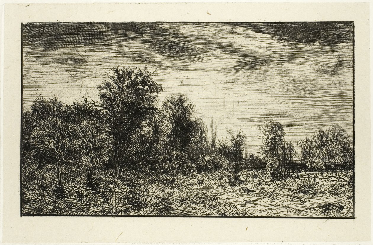 Edge of a Wood, under molnig himmel av Charles Emile Jacque