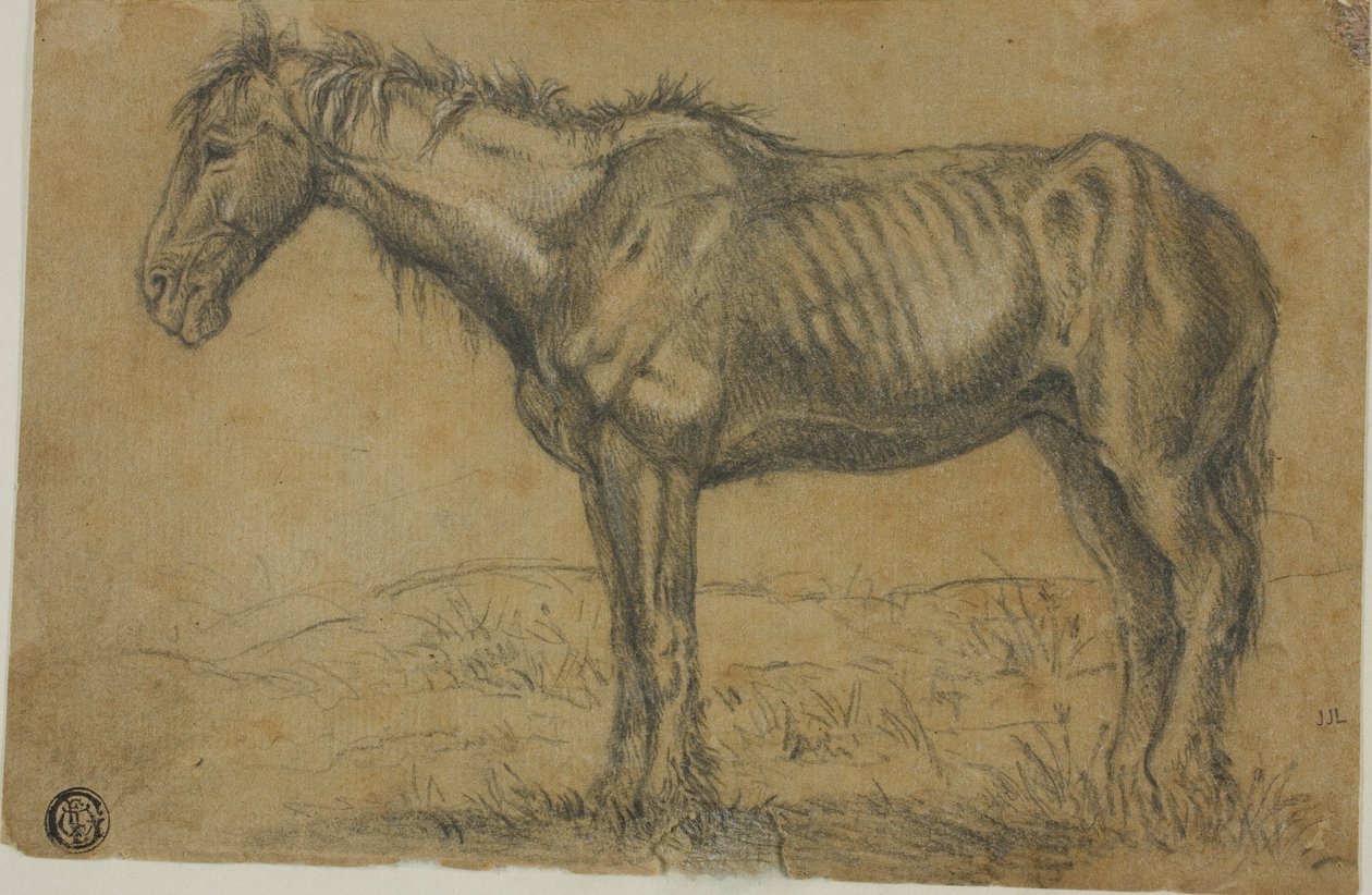 Avmagrad häst (recto); Frontalbild av en häst (verso) av Charles Emile Jacque