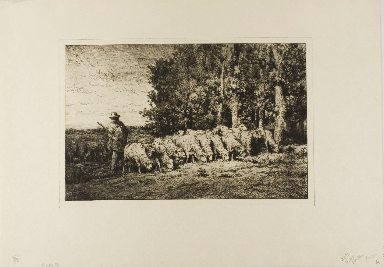 Flock av får vid kanten av en skog av Charles Emile Jacque
