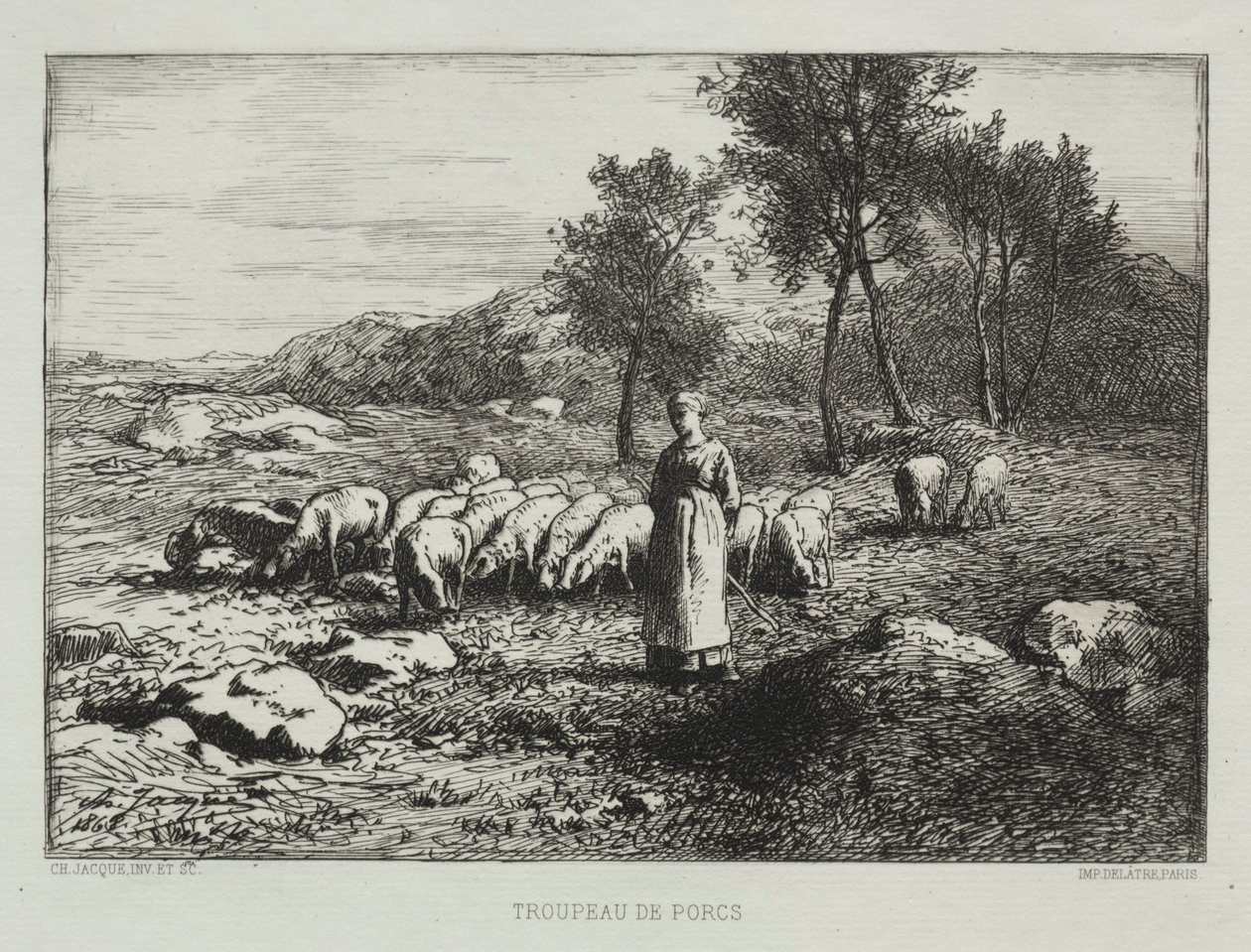 Svinflock av Charles Emile Jacque