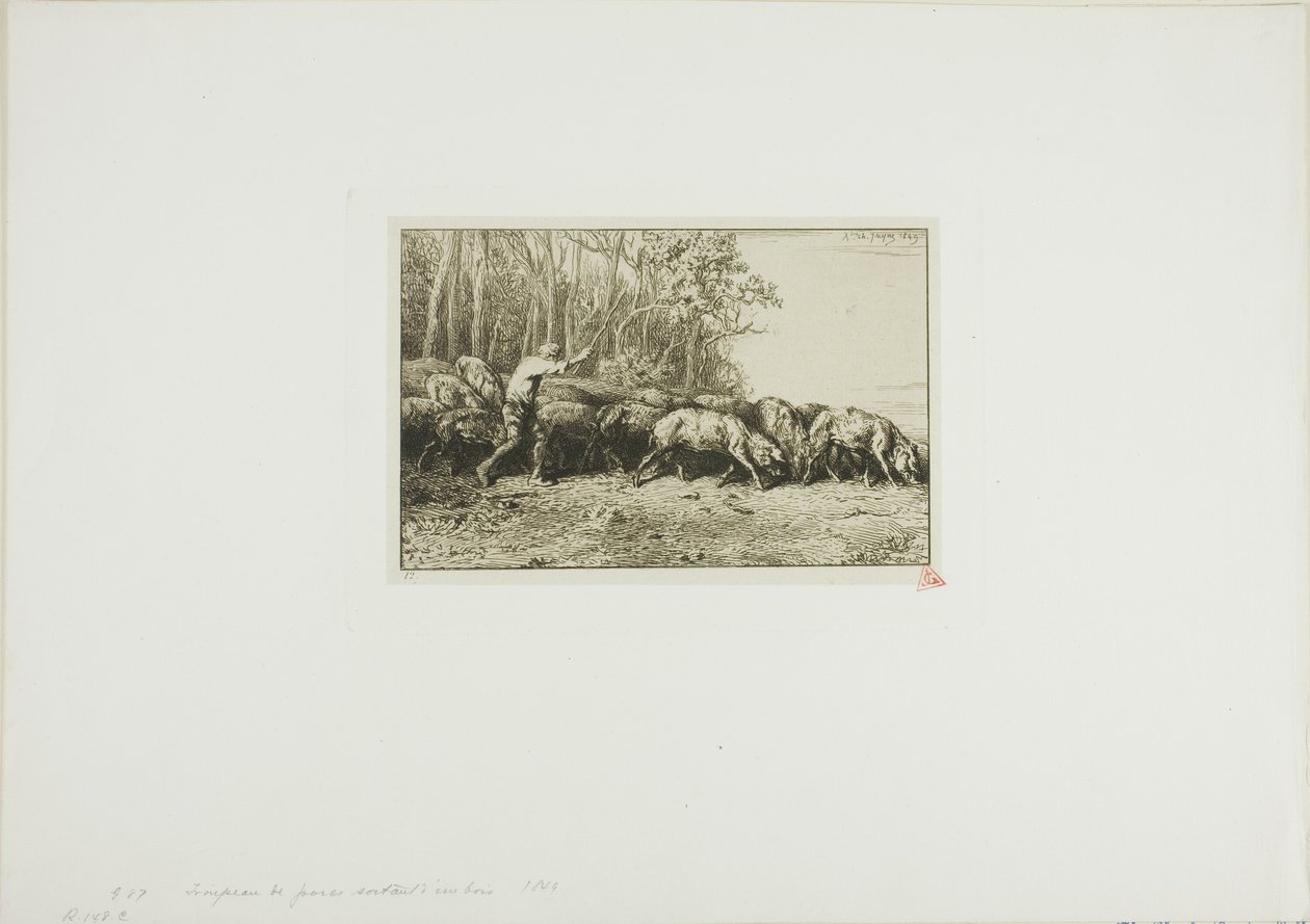 Svinflock kommer ut ur skogen av Charles Emile Jacque