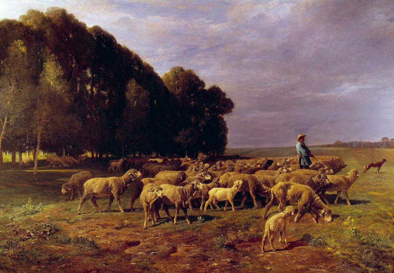 Fårflock i ett landskap eller "" Herde som driver en fårhjord på slätten"" Målning av Charles Jacque (1813-1894) 1800-talet sön. 1,76x2,8 m av Charles Emile Jacque