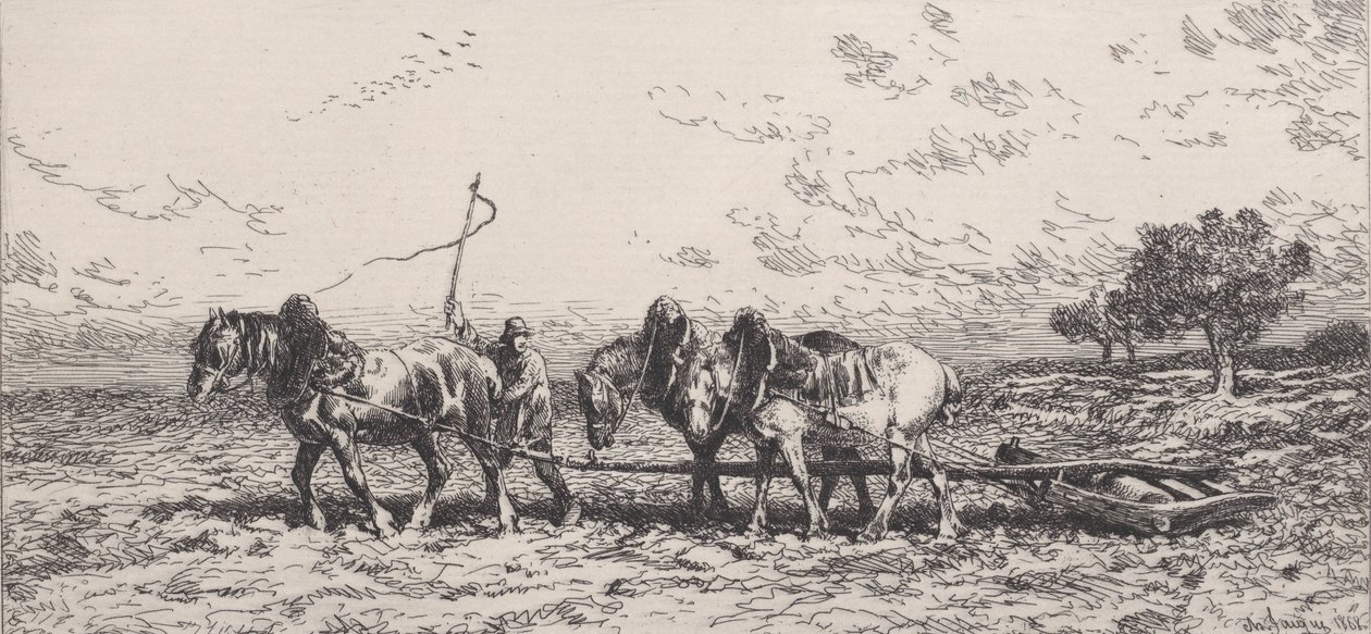 swedish av Charles Emile Jacque