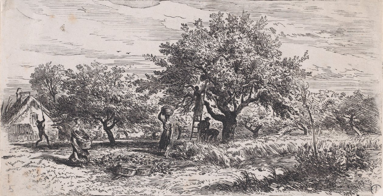 Plocka frukt från träd utanför stugan, ca. 1852. av Charles Emile Jacque