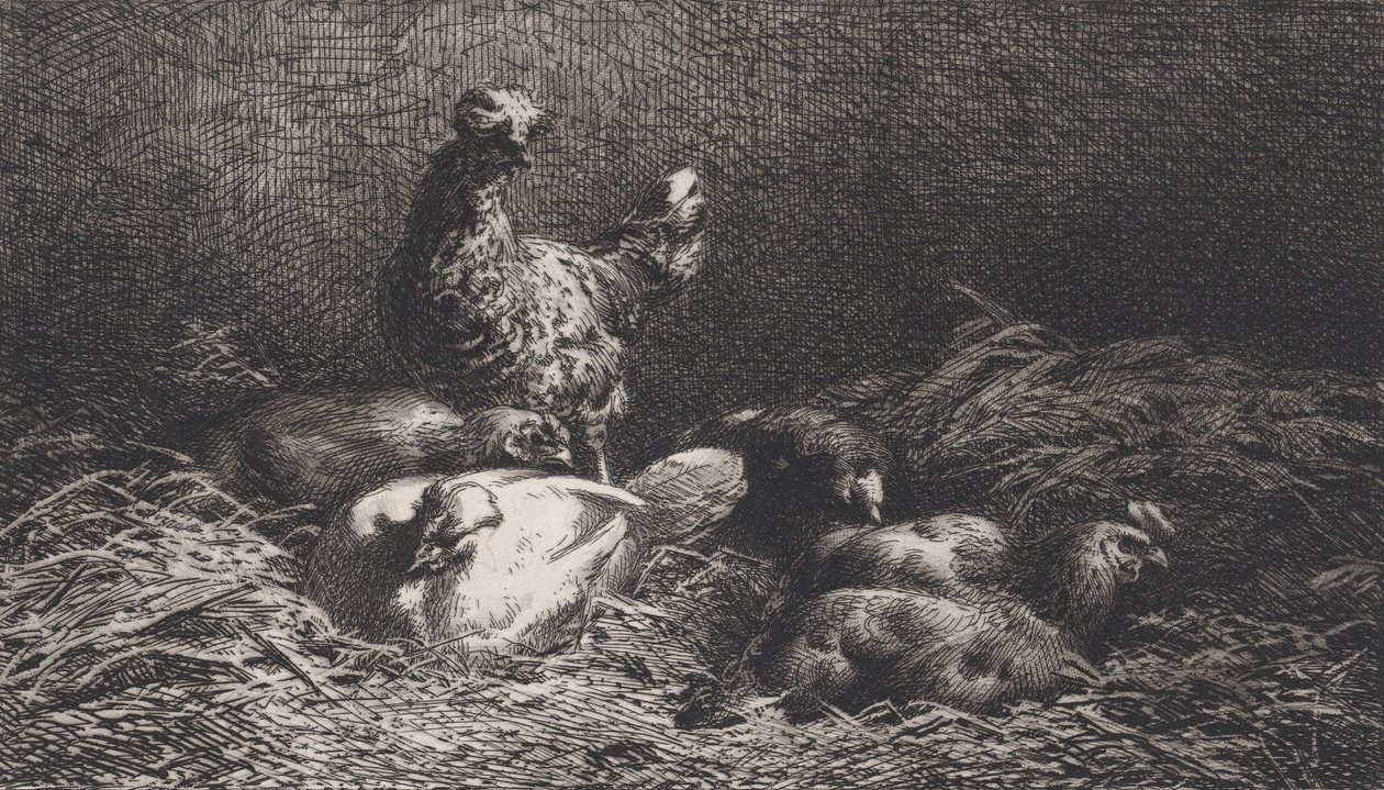 Höns, 1867. av Charles Emile Jacque