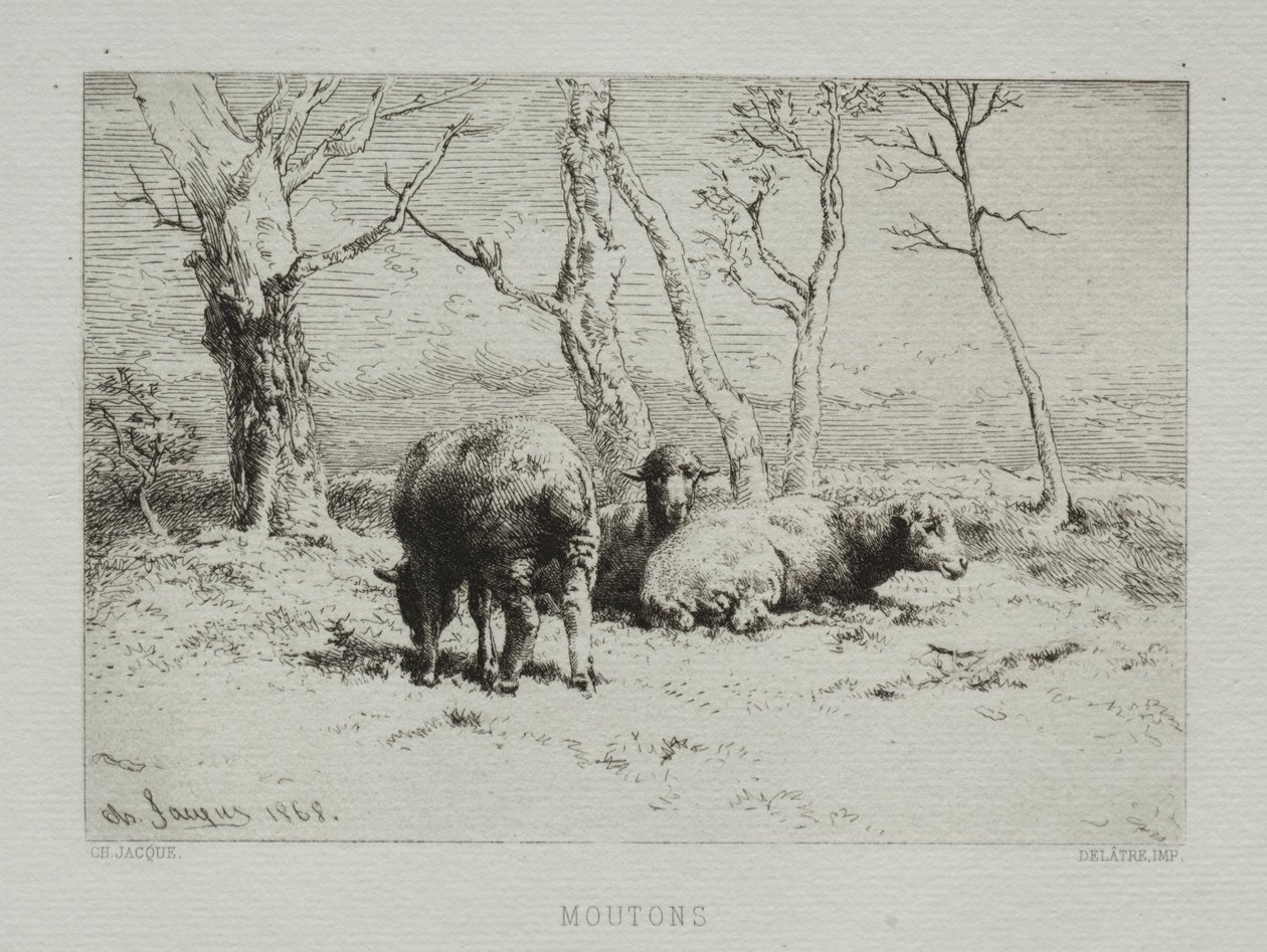 Får, 1868. av Charles Emile Jacque