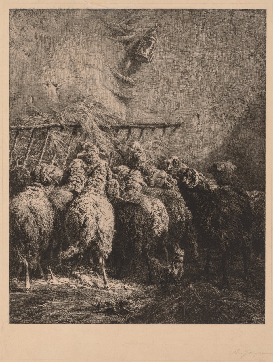 Fårhägn i Béarn av Charles Emile Jacque