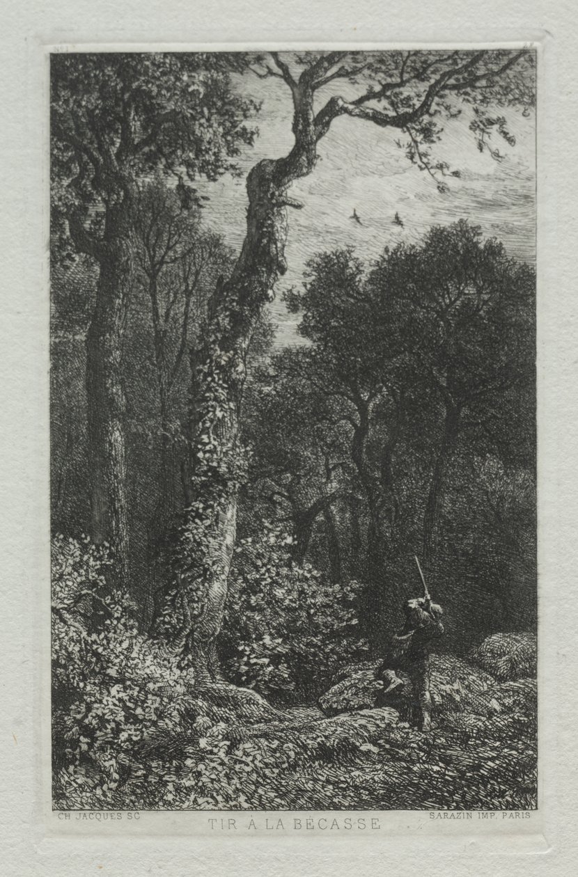Att skjuta skogssnuppan av Charles Emile Jacque