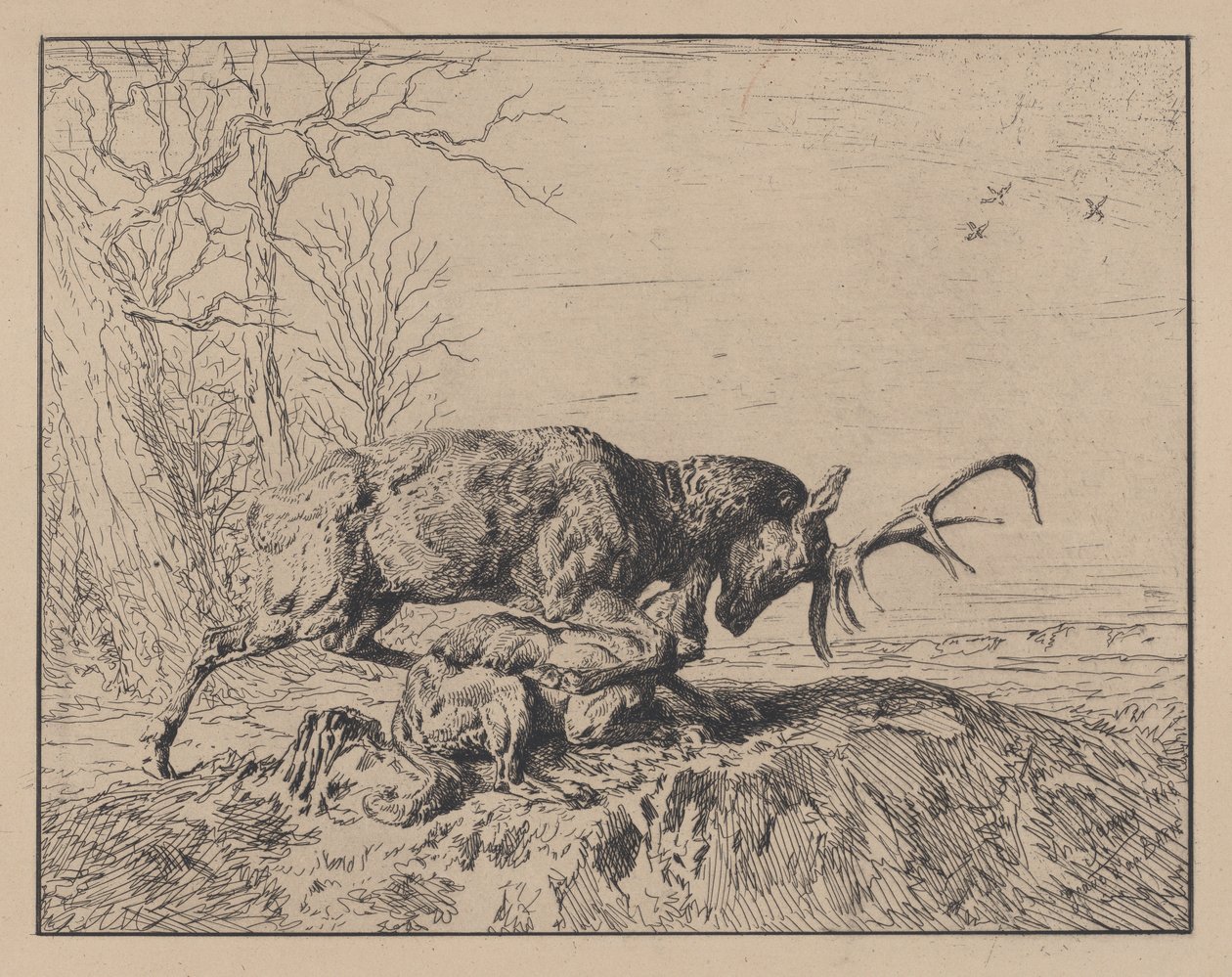 Stag Fighting a Wolf, efter Antoine Louis Barye, 1846. av Charles Emile Jacque