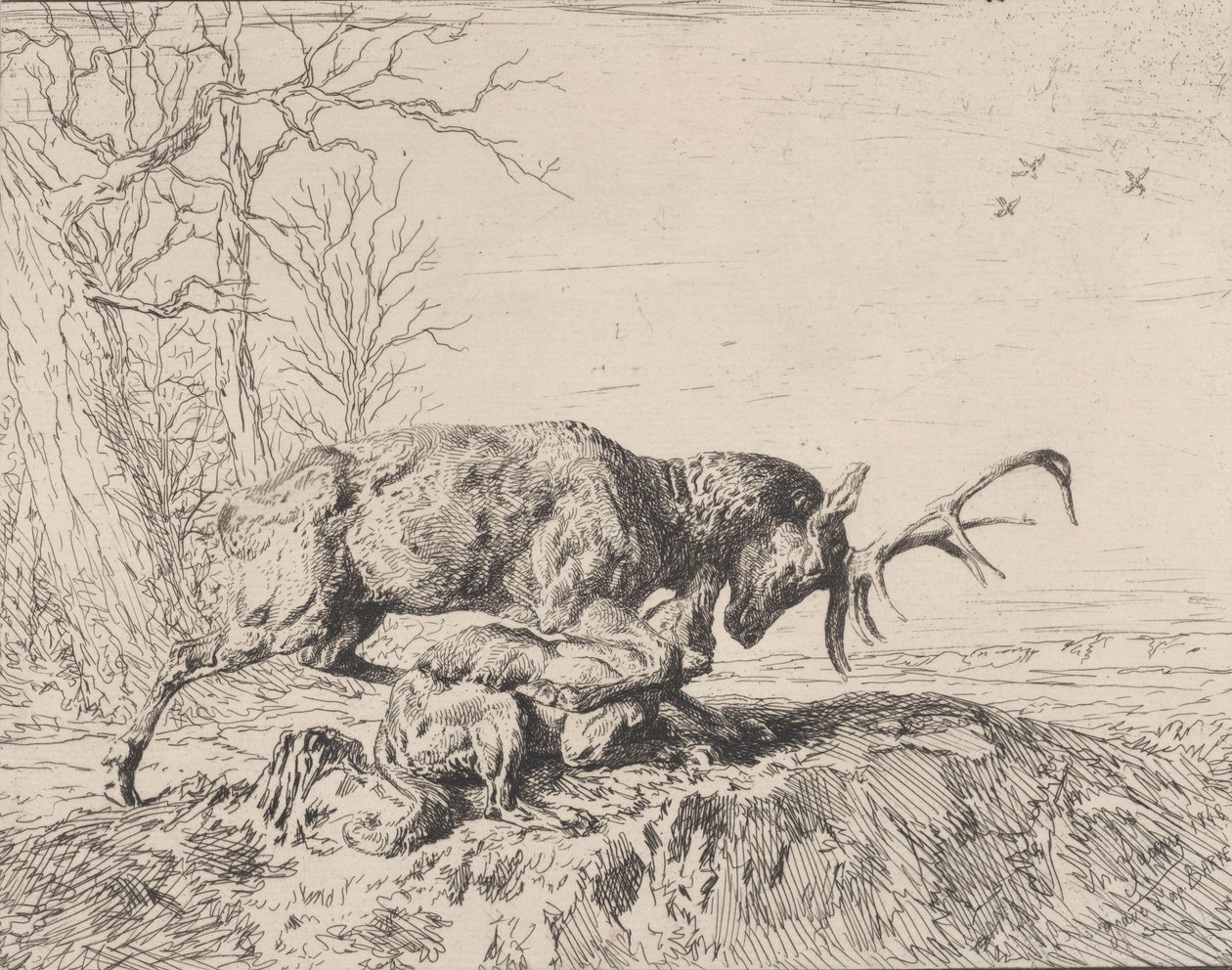 Stag Fighting a Wolf, efter Antoine Louis Barye, 1846. av Charles Emile Jacque
