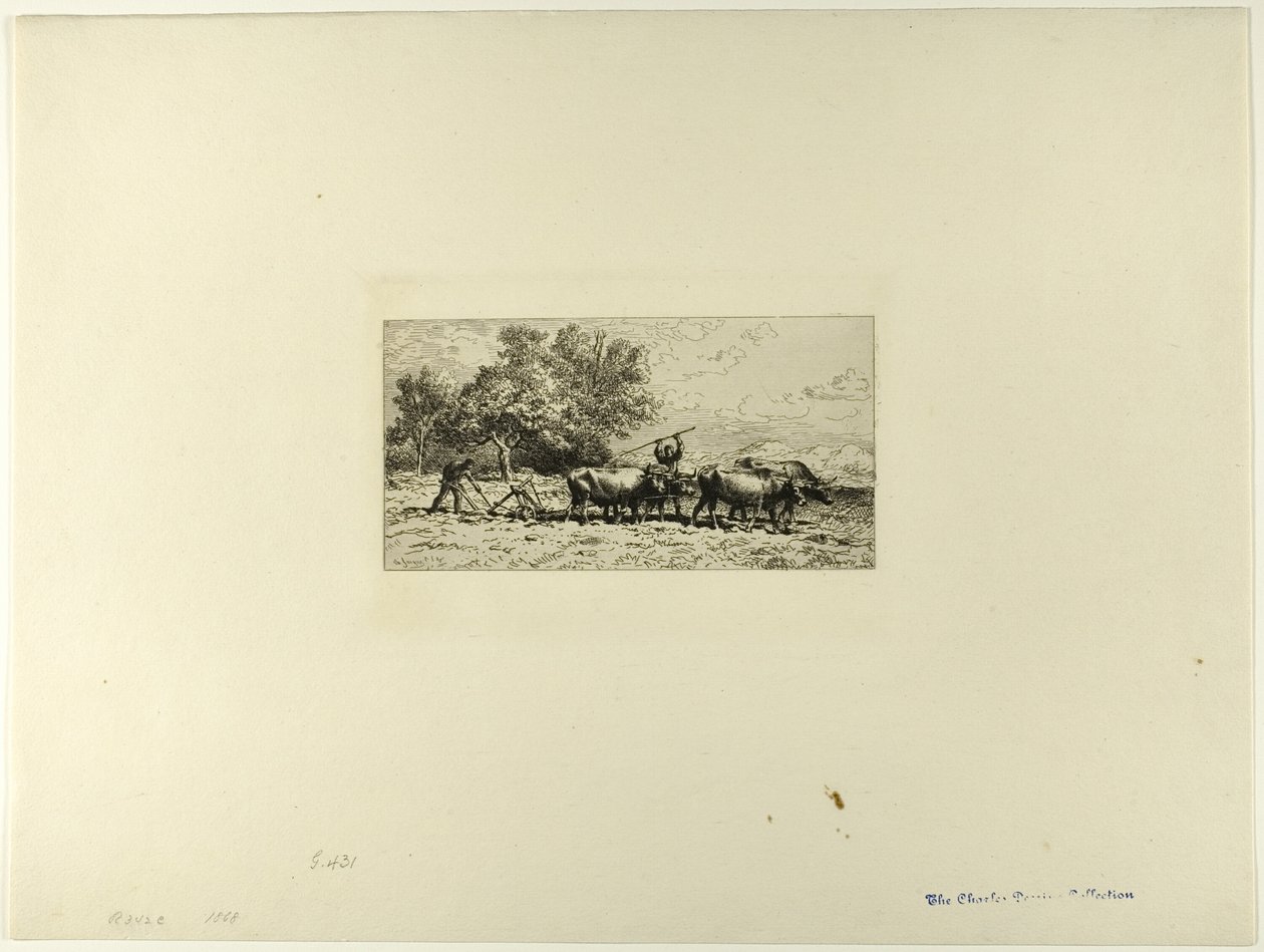 Team av Oxen av Charles Emile Jacque