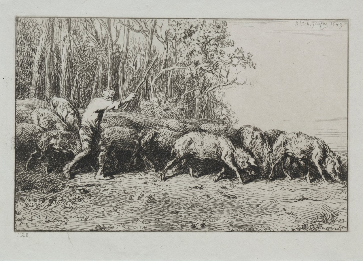 Flock av porer som kommer ut ur en skog. av Charles Emile Jacque