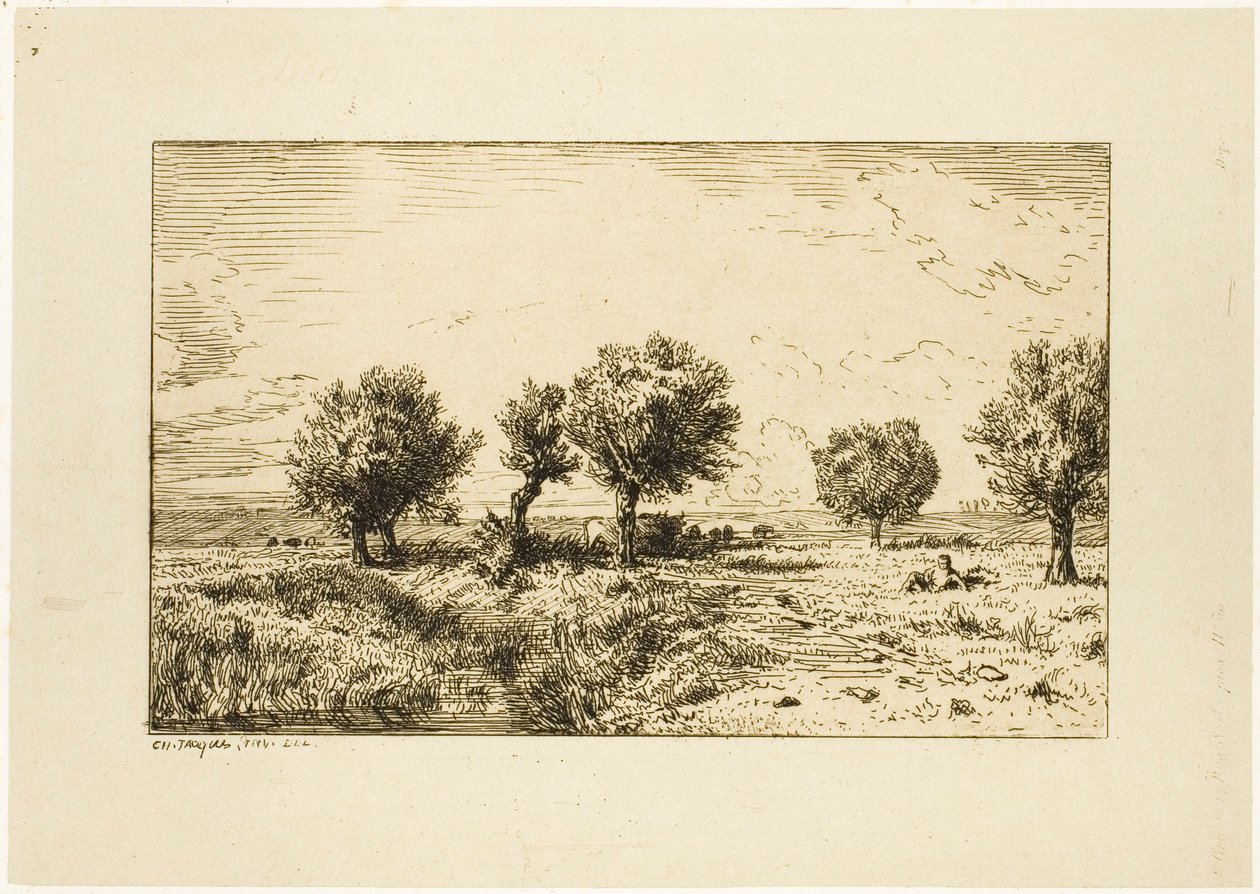 swedish av Charles Emile Jacque