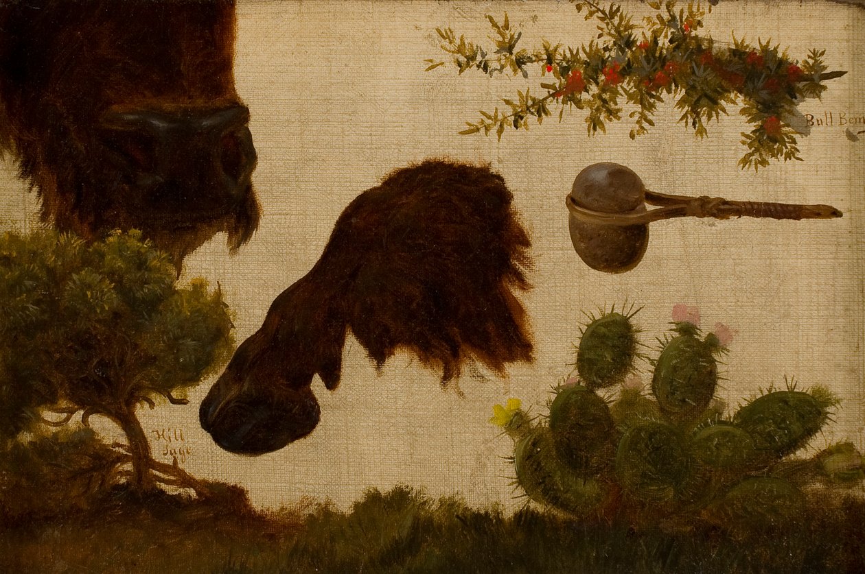 Studie för "The Wounded Buffalo": bergsalvia, buffelhuvud och hov, tjurbär, stenyxa och kaktus ... av Charles Ferdinand Wimar