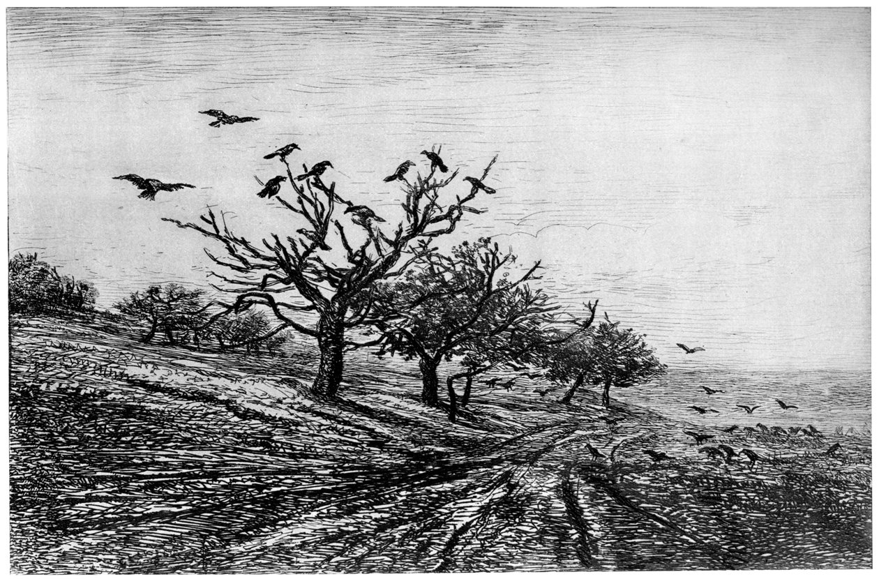 Kråkträd, 1840-1875, 1924 av Charles Francois Daubigny