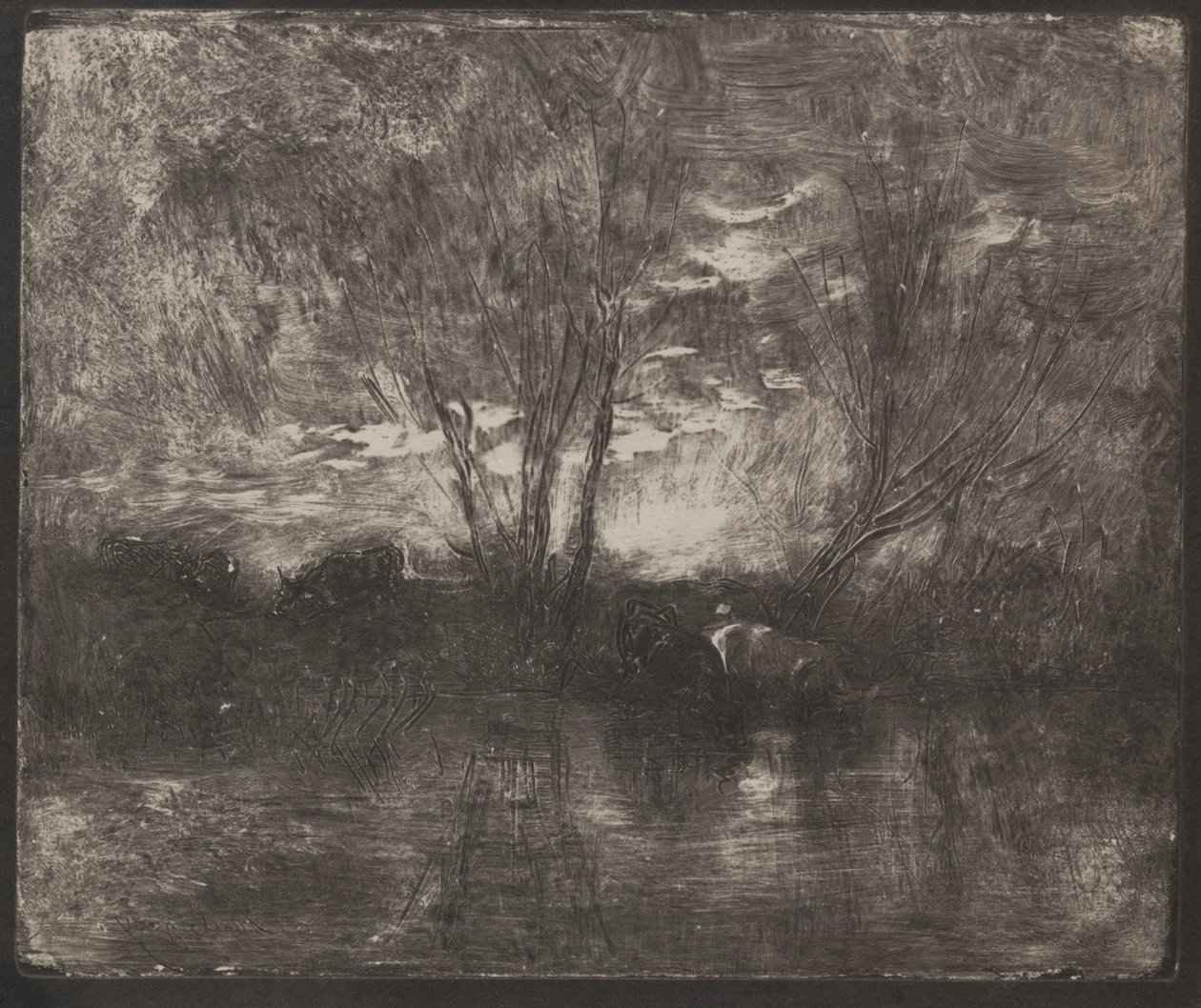Cows at a Watering Place, originalavtryck 1862, tryckt 1921. av Charles Francois Daubigny