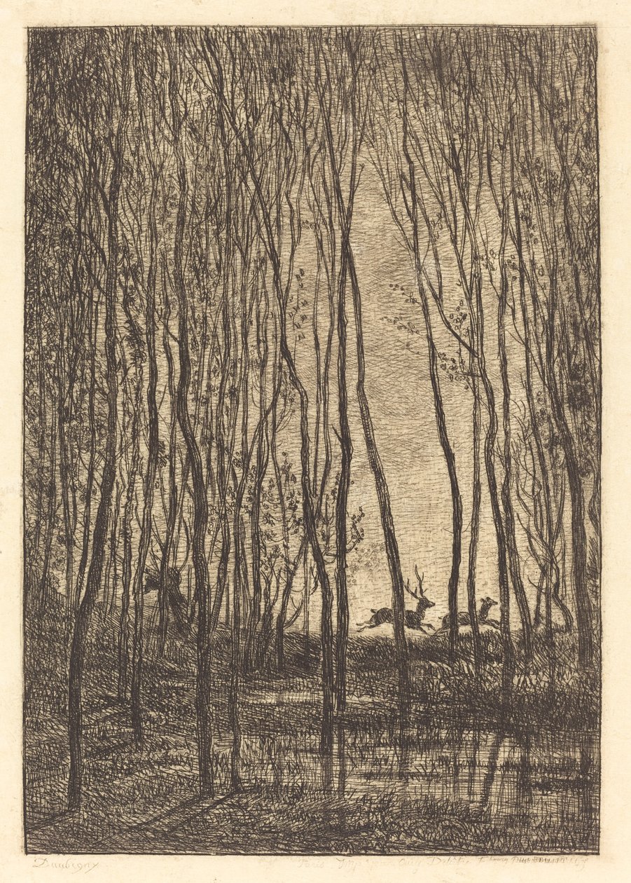 Rådjur i skogen av Charles Francois Daubigny