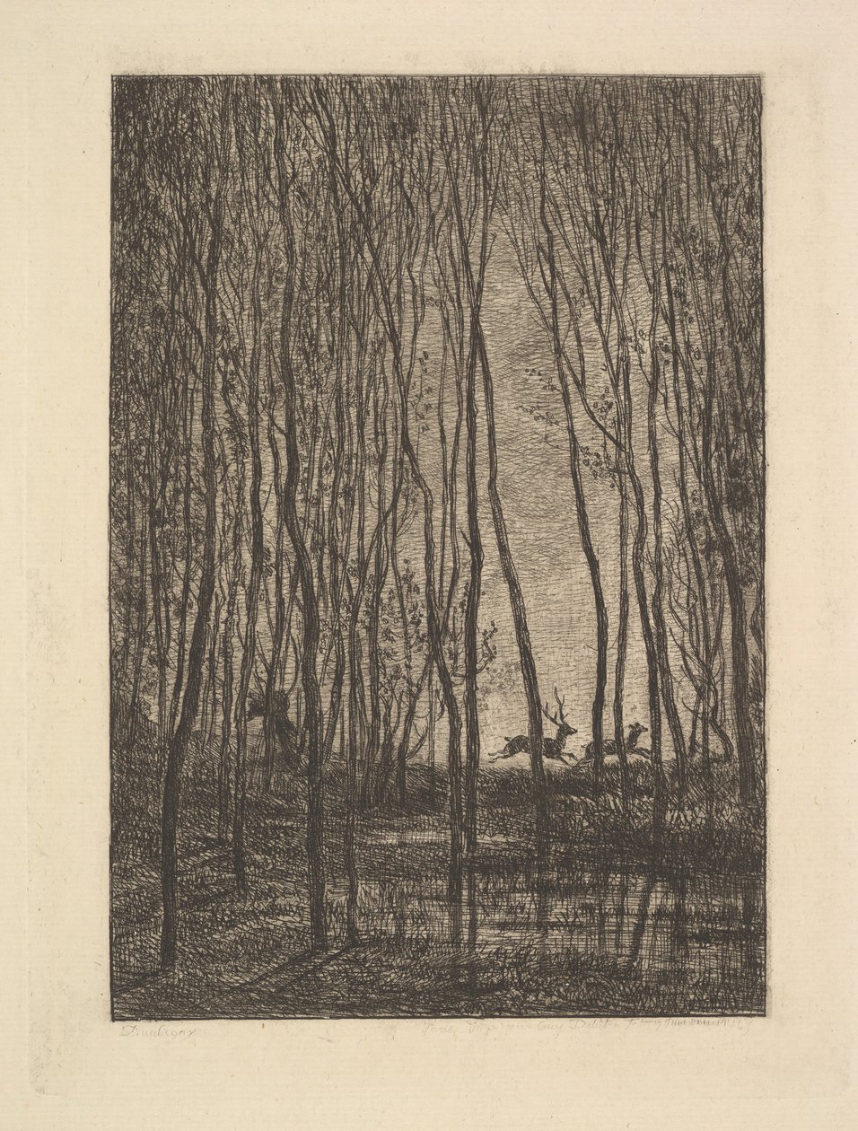 Rådjur i skogen, 1850. av Charles Francois Daubigny