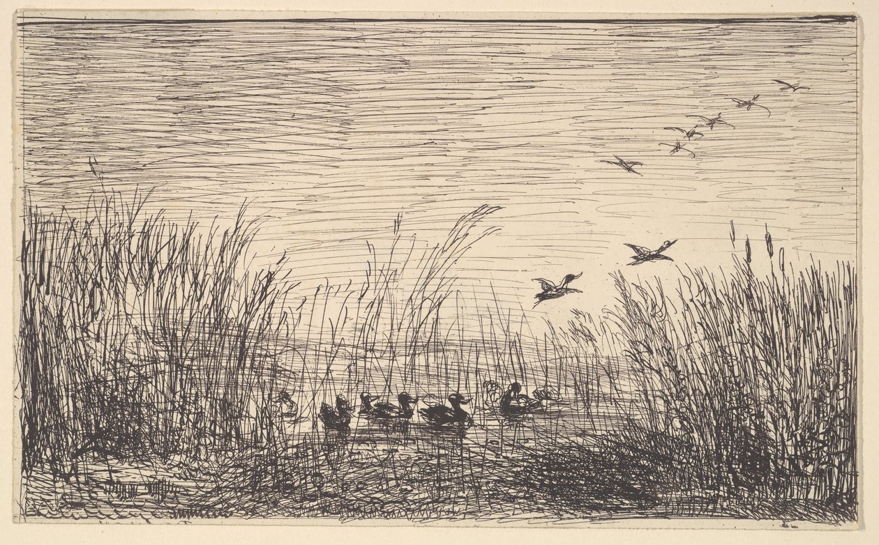 Ducks in the Marshes, [1862], omtryckt 1921. av Charles Francois Daubigny