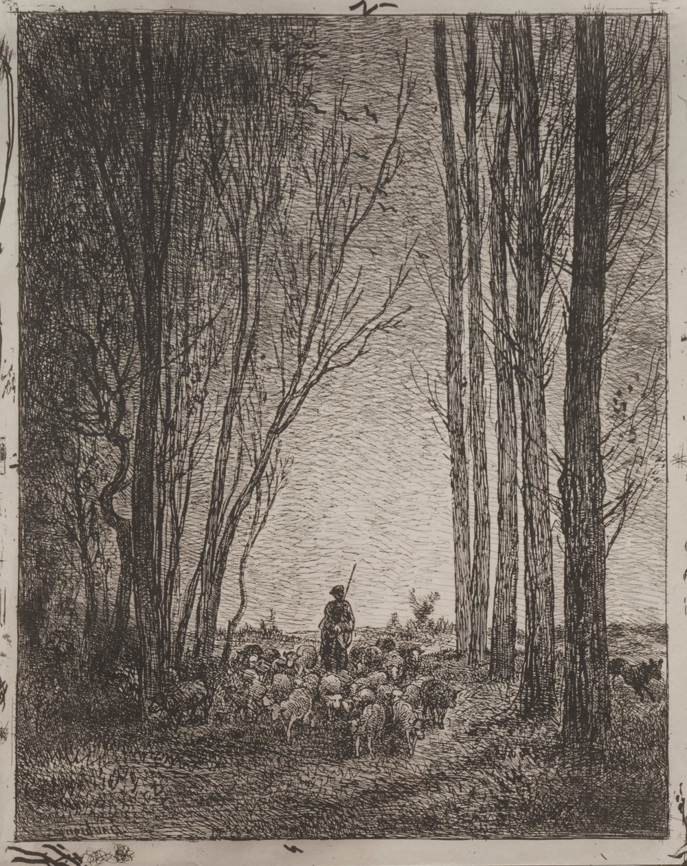 Gathering in the Flock, originalavtryck 1862, tryckt 1921. av Charles Francois Daubigny