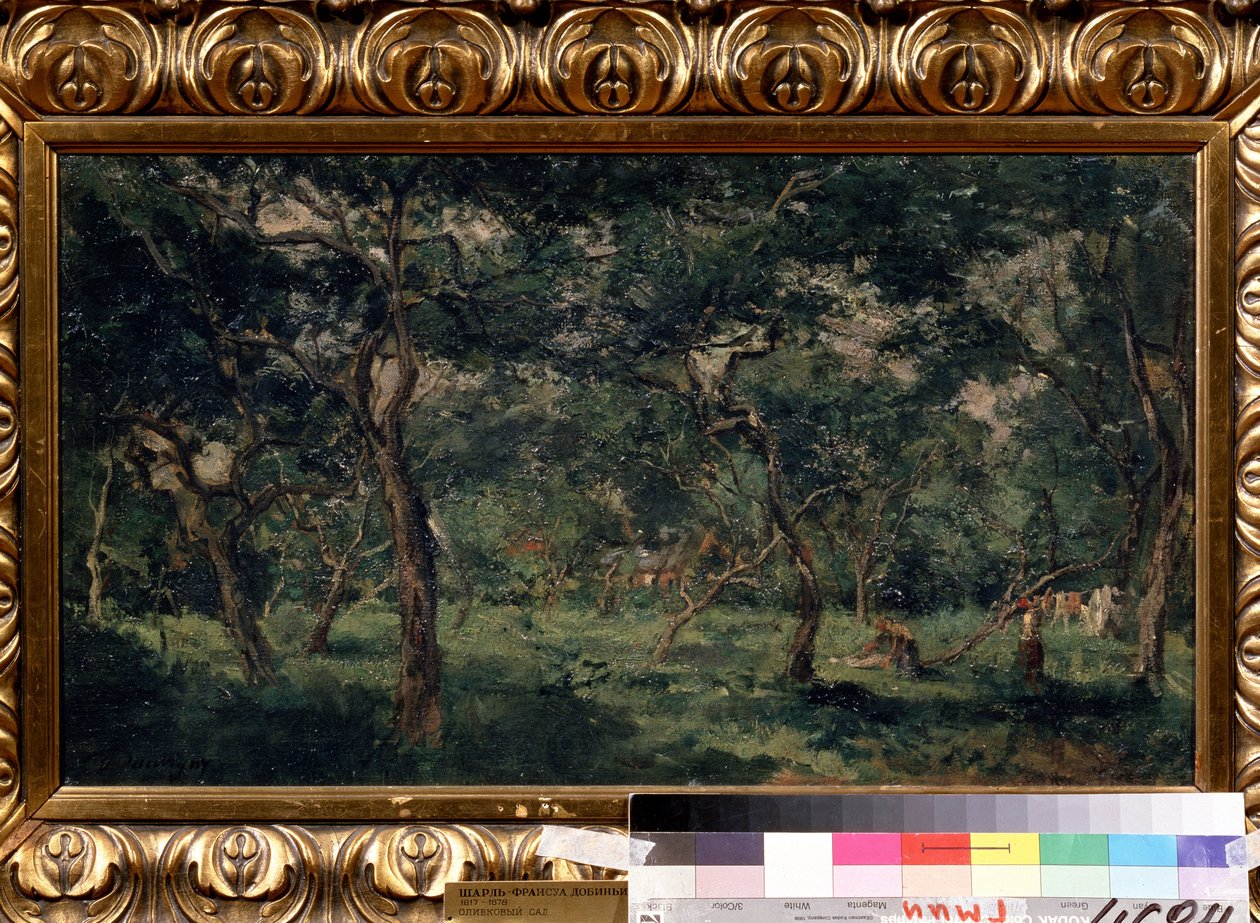 ""Olivlunden"" (Olivträdgård) Målning av Charles Francois Daubigny (1817-1878) 1870-1873 Pushkin-museet, Moskva av Charles Francois Daubigny