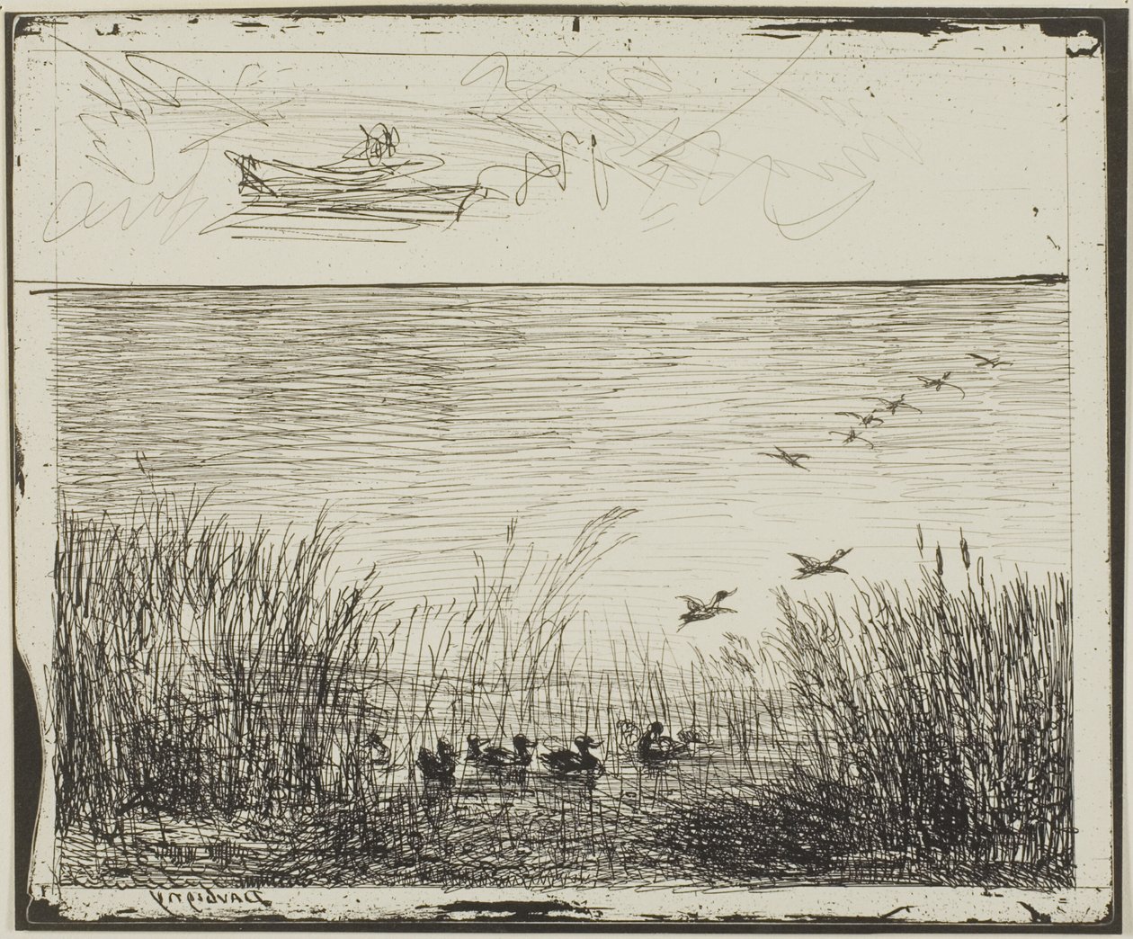 Marsh med ankor av Charles Francois Daubigny