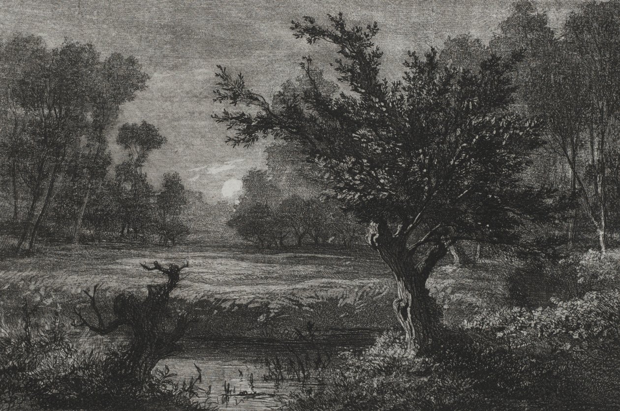 Månuppgång i Andilly Valley, 1845. av Charles Francois Daubigny