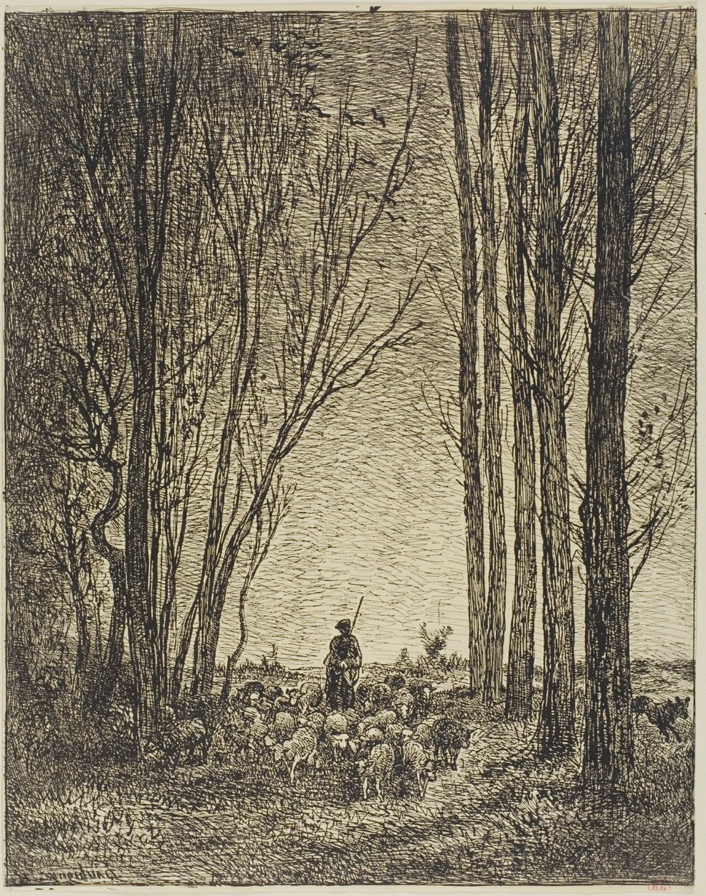 Flockens återkomst av Charles Francois Daubigny