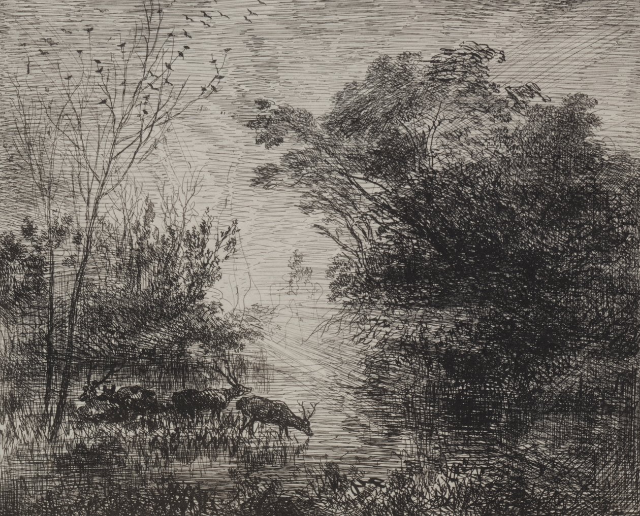 Stags av Charles Francois Daubigny