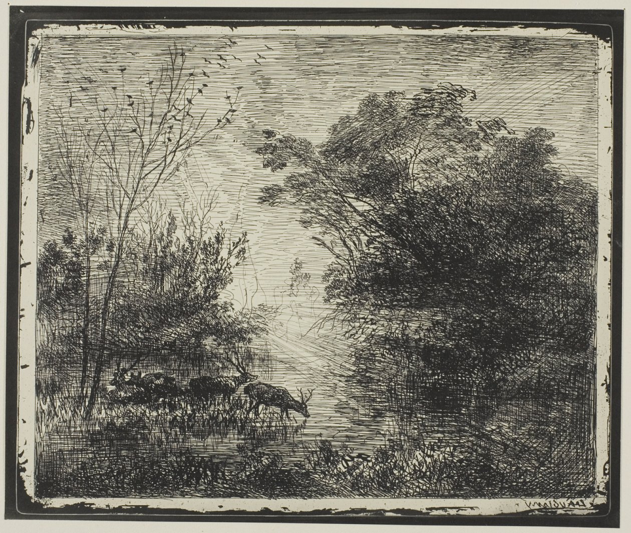 Stags av Charles Francois Daubigny