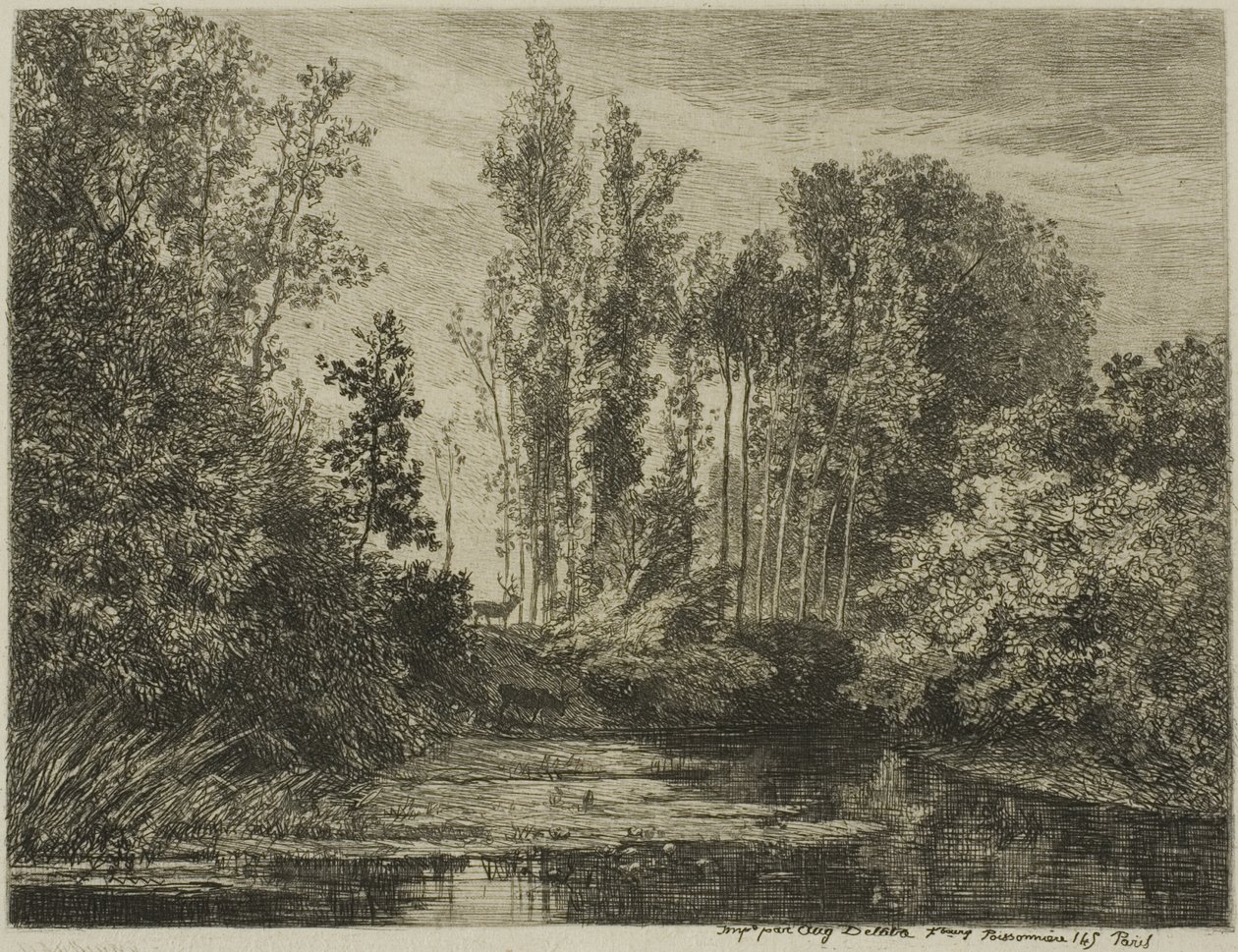 Hjortar vid vattenbrynet av Charles Francois Daubigny