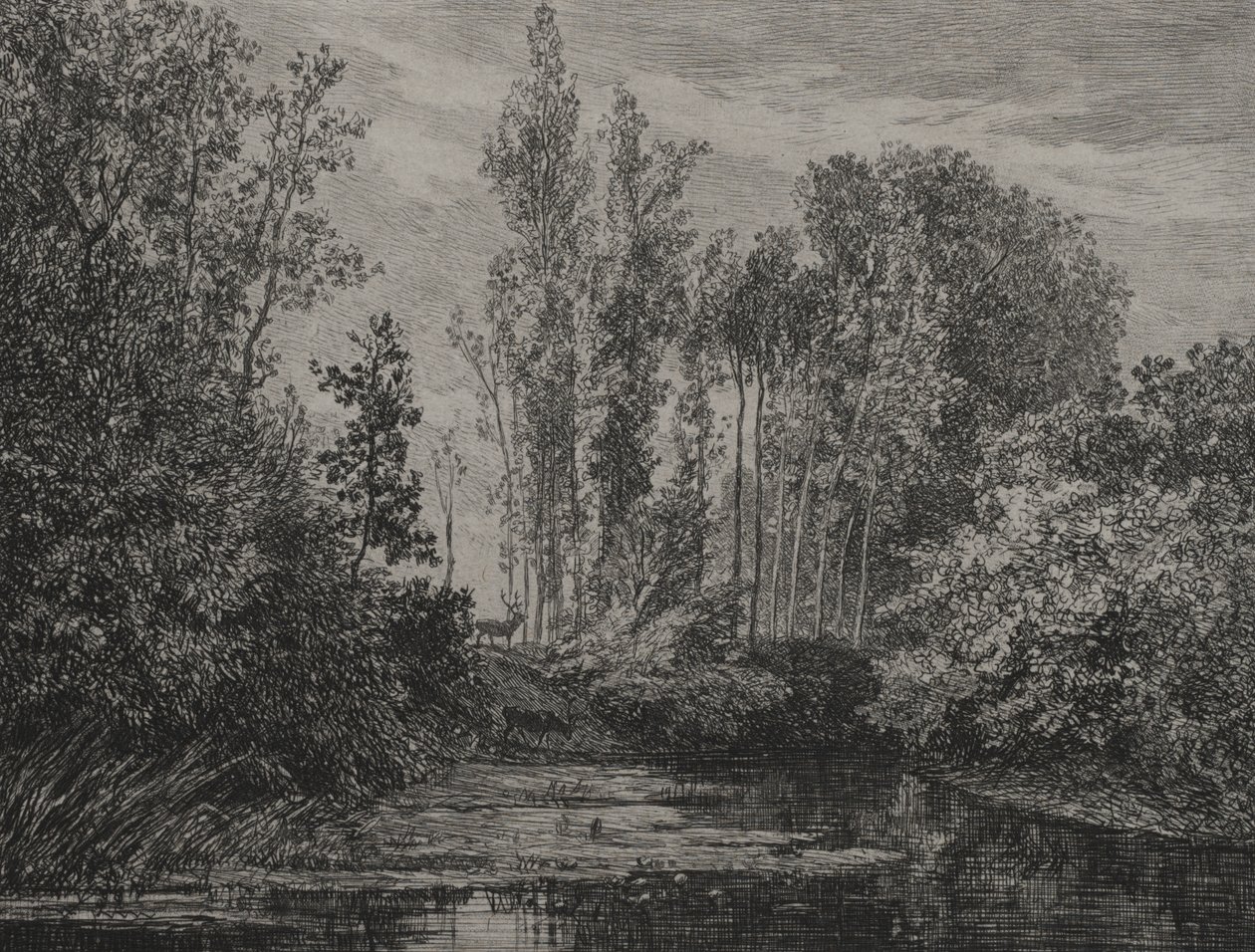 Hjortar vid vattenbrynet av Charles Francois Daubigny