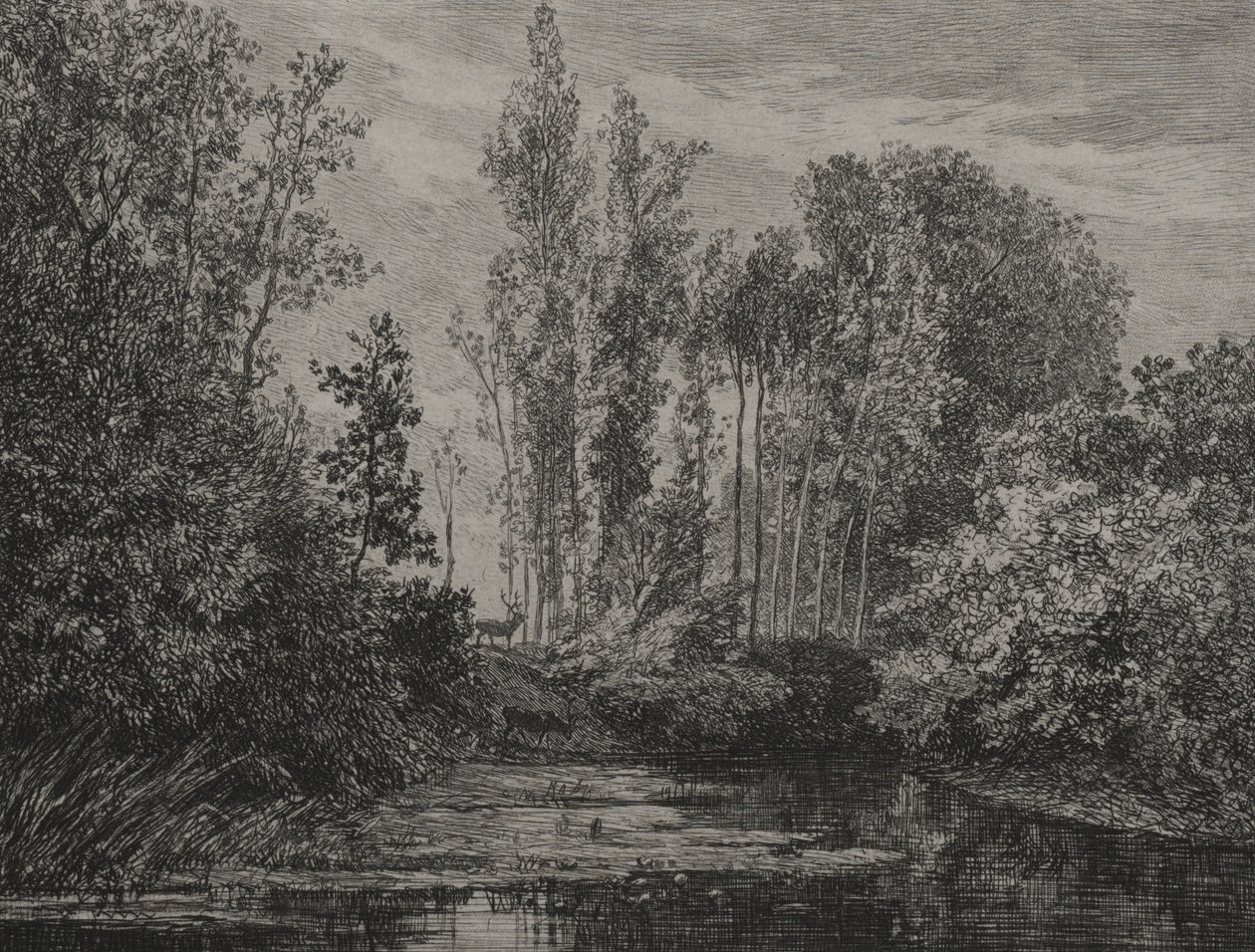 Hjortar vid vattnet, 1850. av Charles Francois Daubigny