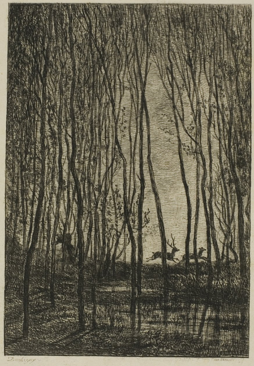 Hjortar i skogen av Charles Francois Daubigny
