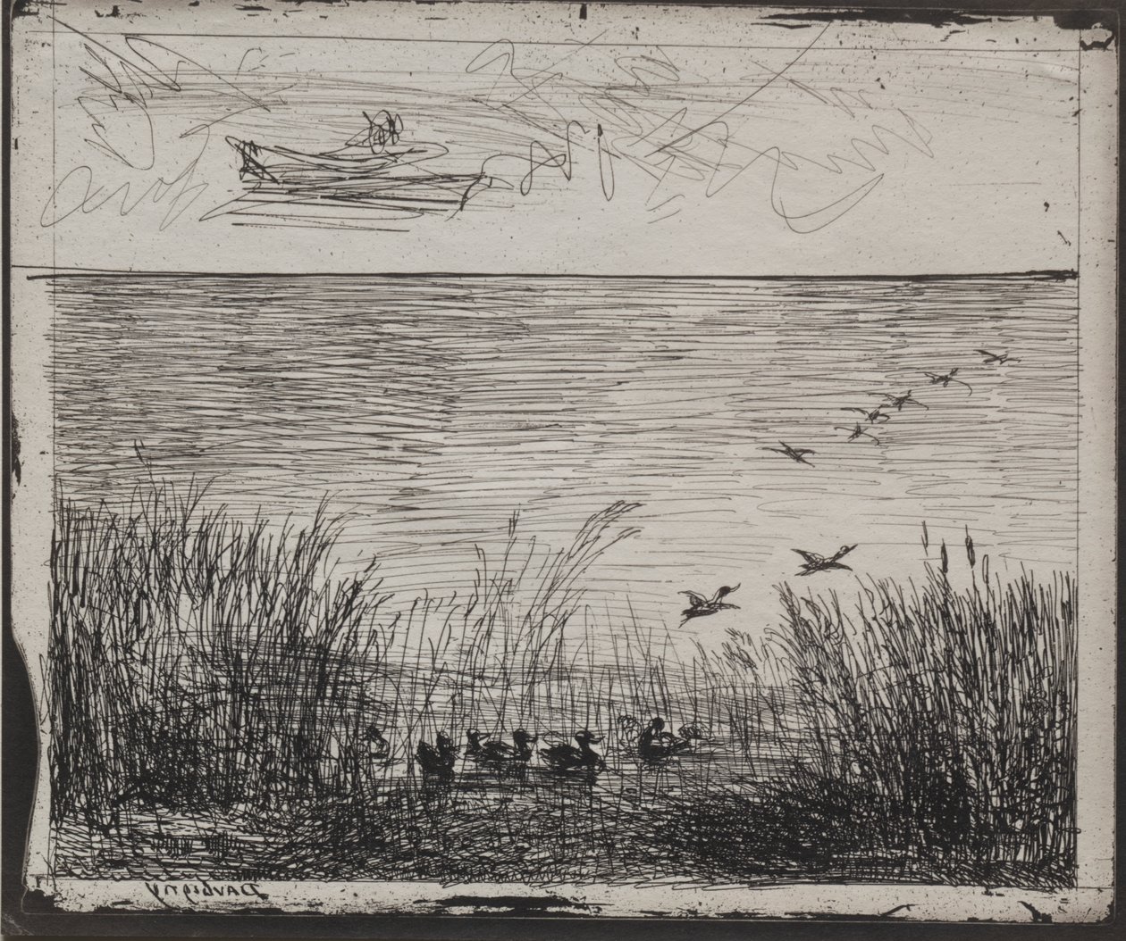 Träsk med ankor av Charles Francois Daubigny