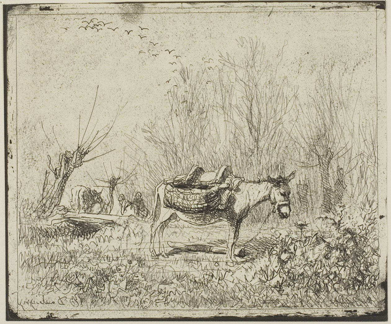 Åsnan på ängen av Charles Francois Daubigny